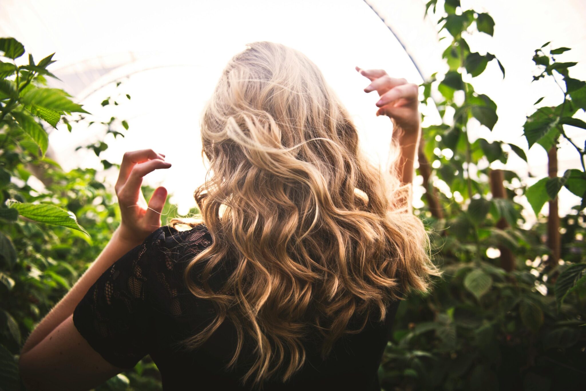 curly hair care