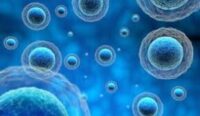 exosome image